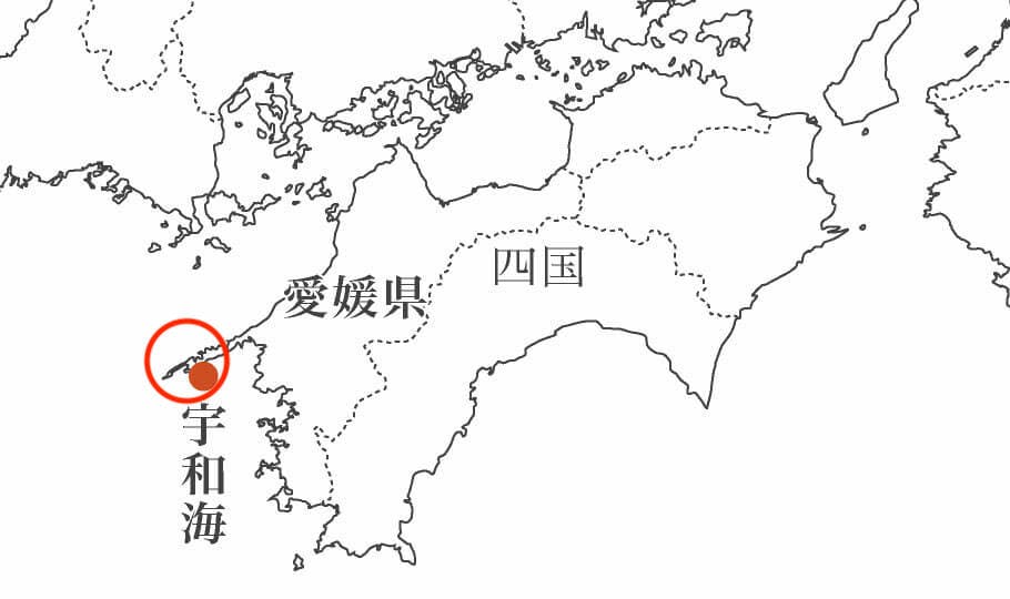▽開催終了▽ 2/27 身の引き締まった鯛に、釜揚げしらす。 “四国