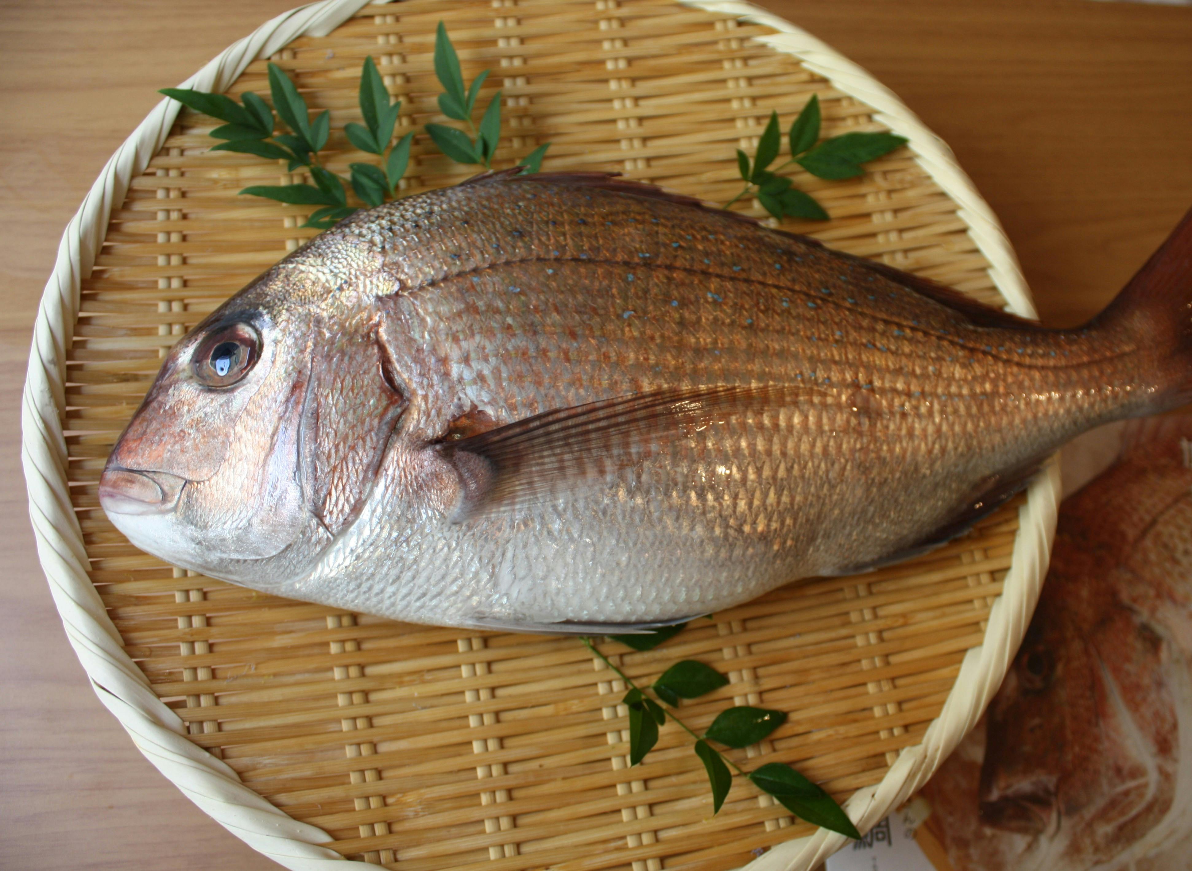 開催終了 5 02 お魚のお福分け 愛鯛を1人一匹捌いて究極のたまごかけごはん宇和島鯛めしを作ります In 東京 キッチハイク