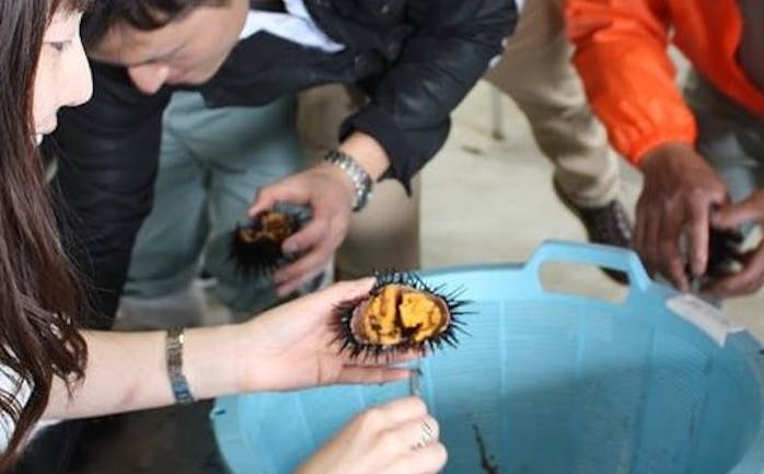 開催終了 6 28 魚のお福分け 北三陸のウニを殻から開き ウニ料理します 岩手県洋野町のうに牧場より In 東京 キッチハイク 開催終了 6 28 魚のお福分け 北三陸のウニを殻から開き ウニ料理します 岩手県洋野町のうに牧場より In 東京 キッチハイク
