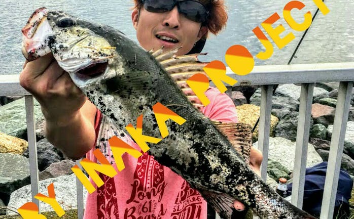 開催終了 11 15 活きた魚の締め方 捌き方を学ぶ 今回は東京湾の高級魚 鱸 スズキ を美味しく食べてみよう 旅する料理人を南の島から取り寄せ中 In 東京 キッチハイク 開催終了 11 15 活きた魚の締め方 捌き方を学ぶ 今回は東京湾の高級魚 鱸 スズキ を美味しく食べてみよう 旅する料理人を南の島から取り寄せ中 In 東京 キッチハイク