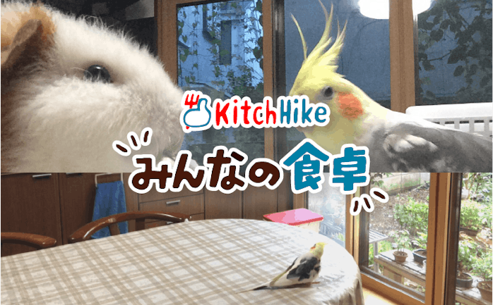 開催終了 2 16 めかじきのムニエル オカメインコぴーちゃんと美味しいご飯に癒されませんか ぴーちゃんハウス の食卓 In 東京 キッチハイク 開催終了 2 16 めかじきのムニエル オカメインコぴーちゃんと美味しいご飯に癒されませんか ぴーちゃんハウス の食卓 In 東京 キッチハイク