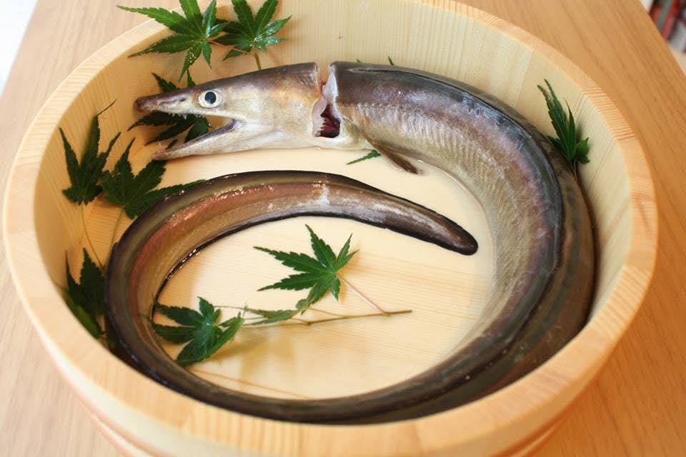 開催終了 7 06 魚のお福分け 初夏の鱧の骨切りをしてみましょう In 東京 キッチハイク