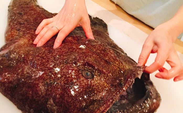 開催終了 2 15 魚のお福分け 2 15夜あんこう鍋に挑戦 In 東京 キッチハイク 開催終了 2 15 魚のお福分け 2 15夜あんこう鍋に挑戦 In 東京 キッチハイク