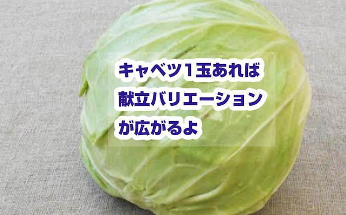 開催終了 5 08 コロナに負けるな キャベツ1玉あれば献立バリエーションが広がるよ キャベツとナッツのエスニックサラダ ニンニク味噌ダレ回鍋肉 キャベツの豚肉巻き旨ダレがけ キャベツとちくわのごま酢和え 大葉とキャベツと塩昆布のさっぱり 開催終了 5 08 コロナに負けるな キャベツ1玉あれば献立バリエーションが広がるよ キャベツとナッツのエスニックサラダ ニンニク味噌ダレ回鍋肉 キャベツの豚肉巻き旨ダレがけ キャベツとちくわのごま酢和え 大葉とキャベツと塩昆布のさっぱり