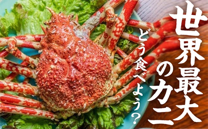 開催終了 2 南伊豆町 駿河湾で獲れた タカアシガニ をお届け あまい身とクリーミーな蟹味噌を味わいつくそう In オンライン キッチハイク 開催終了 2 南伊豆町 駿河湾で獲れた タカアシガニ をお届け あまい身とクリーミーな蟹味噌を味わいつくそう In オンライン キッチハイク