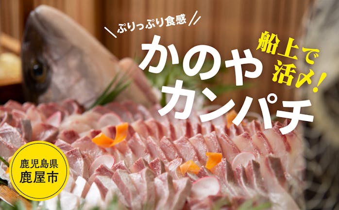 開催終了 2 26 船上活〆で驚きの鮮度 かのやカンパチ のぷりっぷり食感を 漬け丼 カルパッチョ で味わう幸せ晩ごはん In オンライン キッチハイク 開催終了 2 26 船上活〆で驚きの鮮度 かのやカンパチ のぷりっぷり食感を 漬け丼 カルパッチョ で味わう幸せ晩ごはん In オンライン キッチハイク