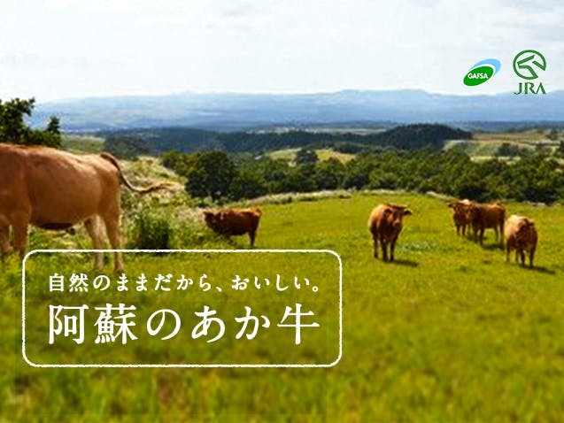 ▽開催終了▽ 2/17 輝くような赤身！大草原で牧草を食んで育った「阿蘇のあか牛」をステーキで堪能しよう。 in 東京 - キッチハイク