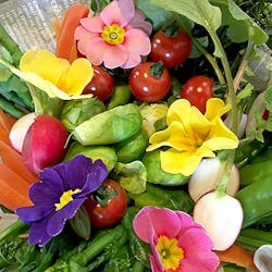 KitchHike User さんの 春野菜をもりもり食べよう！