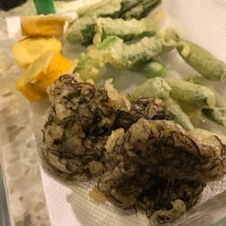 スナックおっかさん さんの とちぎのお酒で乾杯だよ!おっかさん!#1