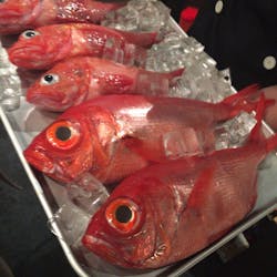 東京感動線 さんの 増席しました!香りとコクの自家製調味料に酔いしれる!恵比寿の人気中華「チャイニーズダイニング方哉」のシェフの話を聞きながら、メニューにはないディープ中華を味わおう