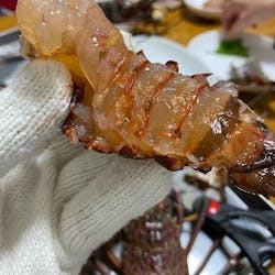 JUNKO さんの 【奥浅草】南伊豆の地魚で作るアクアパッツァ&パエリア&刺身