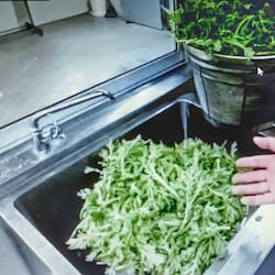 老酒舗 さんの \老酒舗に初参加限定!/コスパも抜群と評判のお店!中華料理「老酒舗」で好きな料理を頼もう (¥2,000 ~ ¥2,999)