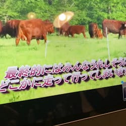 日本草地畜産種子協会 さんの 輝くような赤身！大草原で牧草を食んで育った「阿蘇のあか牛」をステーキで堪能しよう。