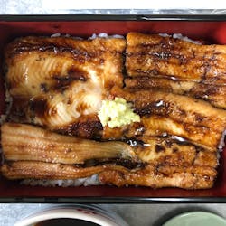 島根県大田市 さんの まるまる太った新鮮なあなごを、島根県大田市からお届け！生わさびを添えて、格別なあなご丼を楽しもう。