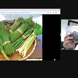 山形県飯豊町 さんの なかつがわのお母さんに会いたい!米沢牛に山菜料理、デザートにはどぶろくプリン。心もおなかも、ほっこり満たされる旅へ。