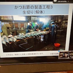 鹿児島県枕崎市 さんの 【昼の部】 “かつおのトロ” が日常食?! かつお節生産量日本一のまちで、地元民に教わるローカルフード