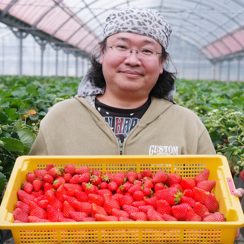 冷凍庫に常備したい、静岡生まれの品種「紅ほっぺ」の冷凍イチゴ